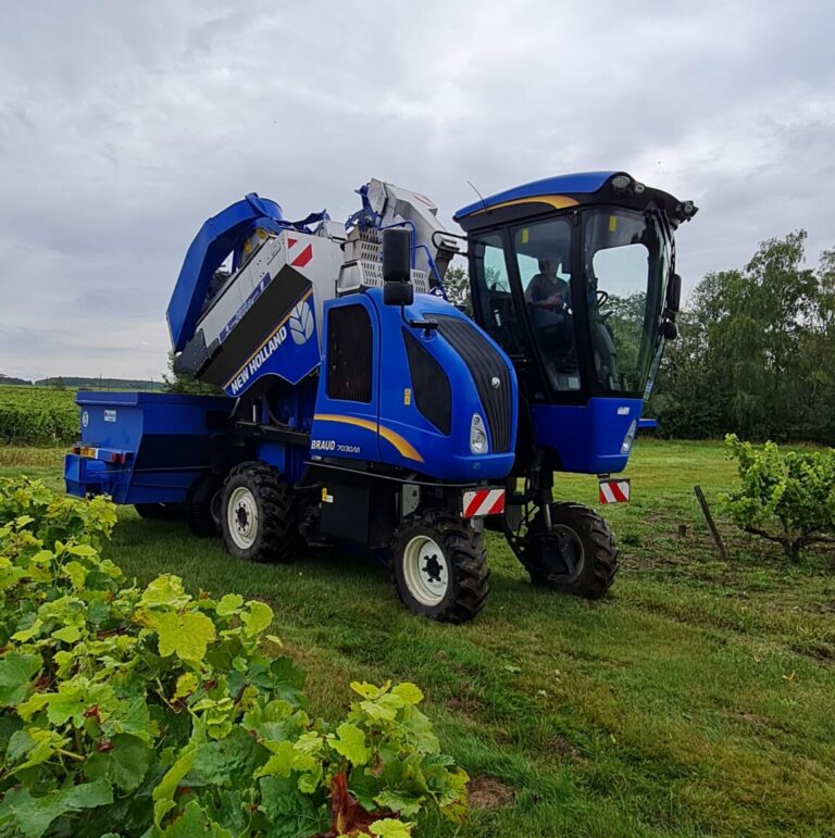 Récolte 2023 avec une machine à vendanger