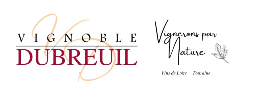 vignobledubreuil.com